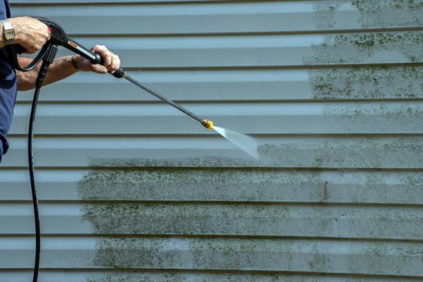 Best House Pressure Washing  in Buttonwillow, CA