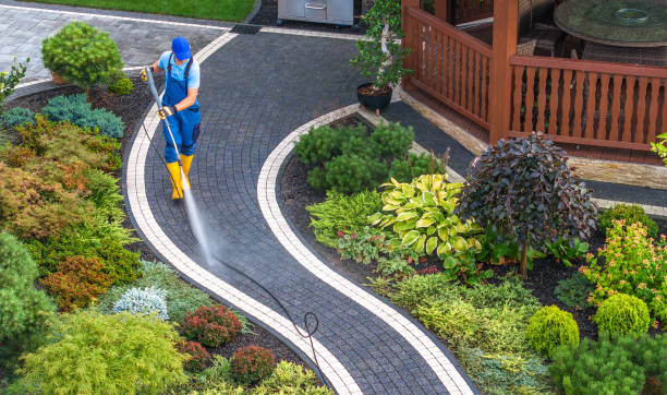 Best Power Washing Near Me  in Buttonwillow, CA